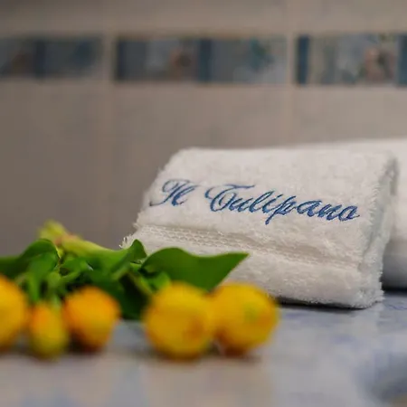 Il Tulipano - Al Centro Di *