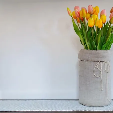 Il Tulipano - Al Centro Di Apartamento *