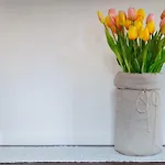 Il Tulipano - Al Centro Di Appartamento *